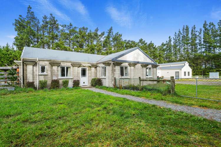 195 Wards Road Swannanoa_1
