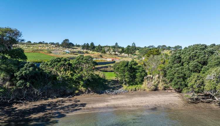 3 Daisy Burrell Drive Gulf Harbour_45