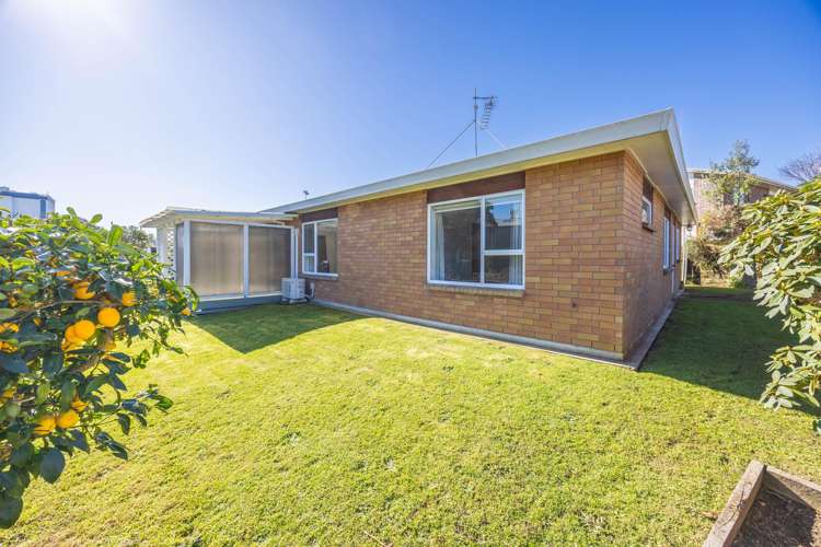 1/1291 Alexandra Street Te Awamutu_19