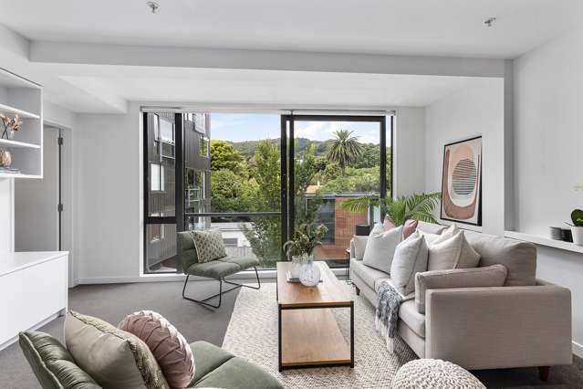 3h/21 Rugby Street Mount Cook_1