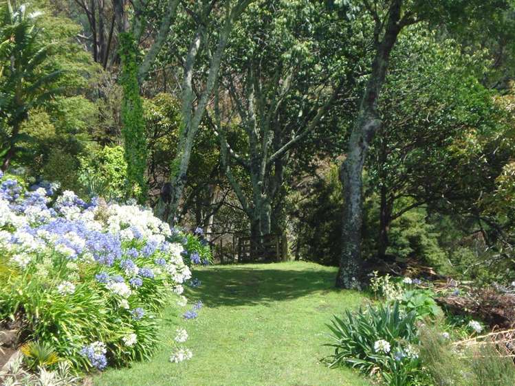 292 Lindemann Road Hauraki Surrounds_18