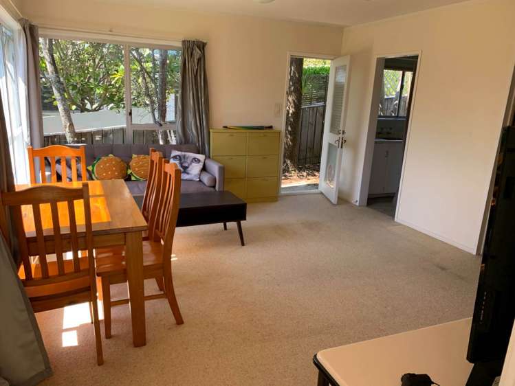 43a Prospect Terrace Pukekohe_1