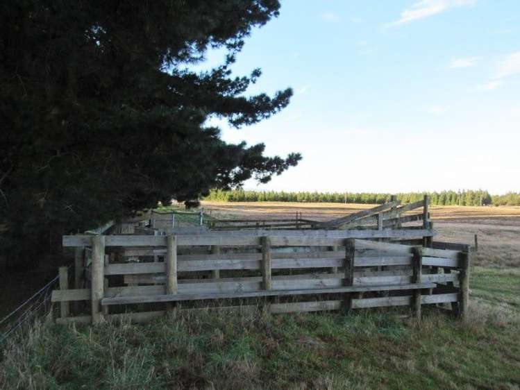 60 Newcombes Road Amberley_15