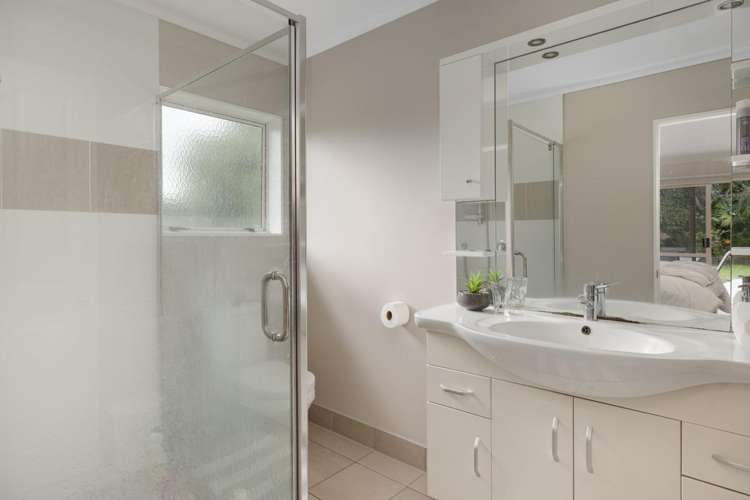 389 Old Highway Whakamarama_17