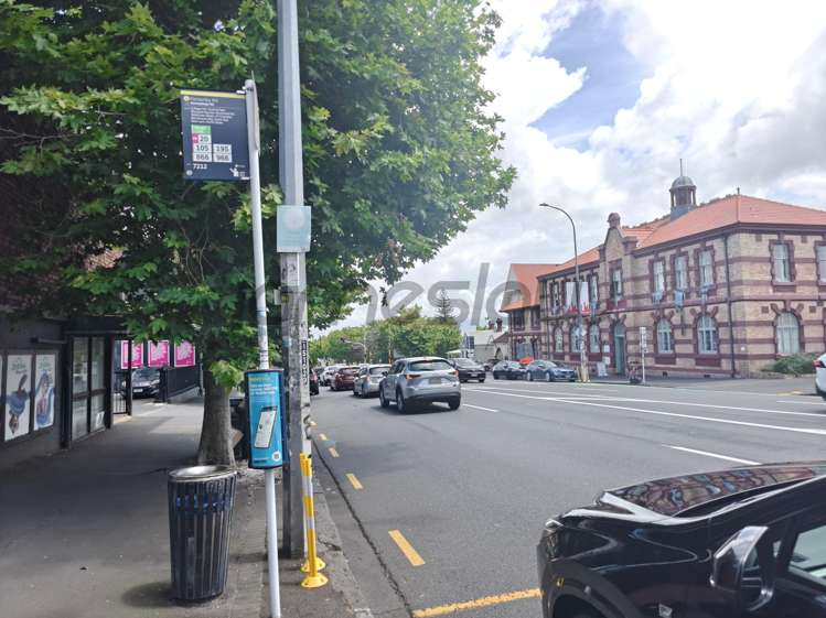 14 Ponsonby Road Grey Lynn_8