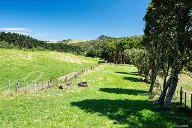 878 Waikaretu Valley Road Glen Murray_10