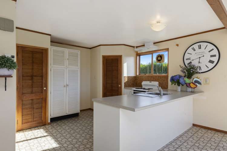 7 Punga Punga Road Pukekawa_11