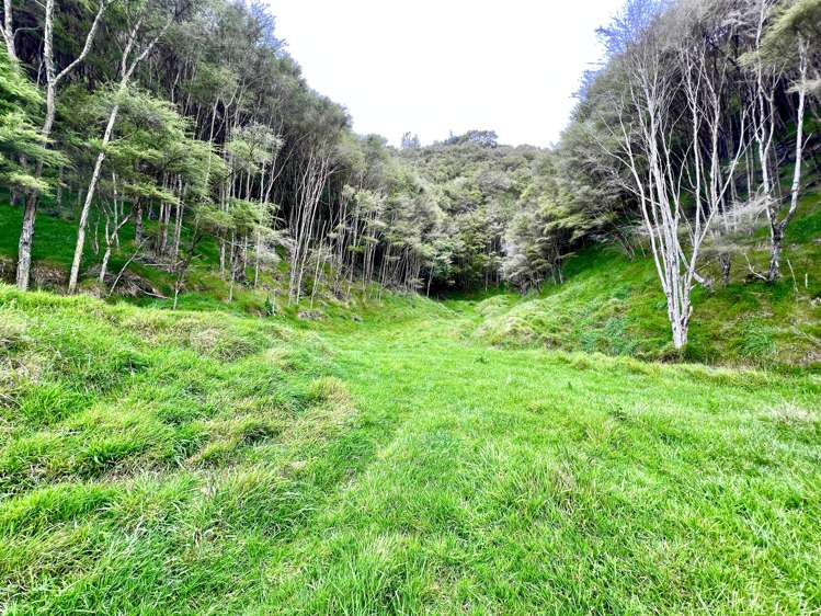 637a Awahou Road Murupara Surrounds_9