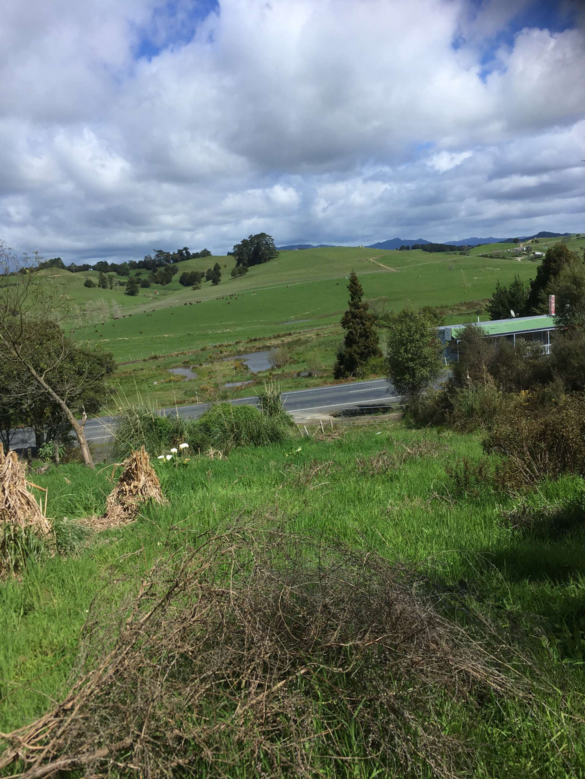 3820 State Highway 1 Towai_0