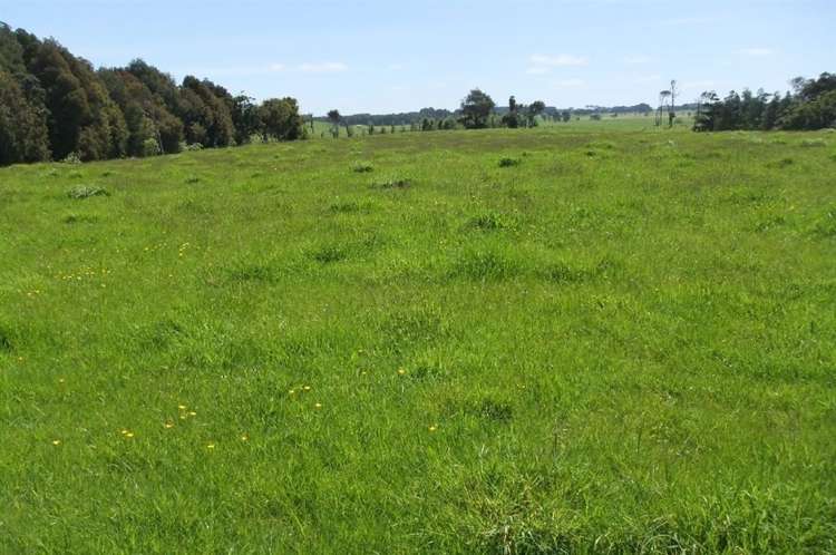 24 Ryland Park Levin_11