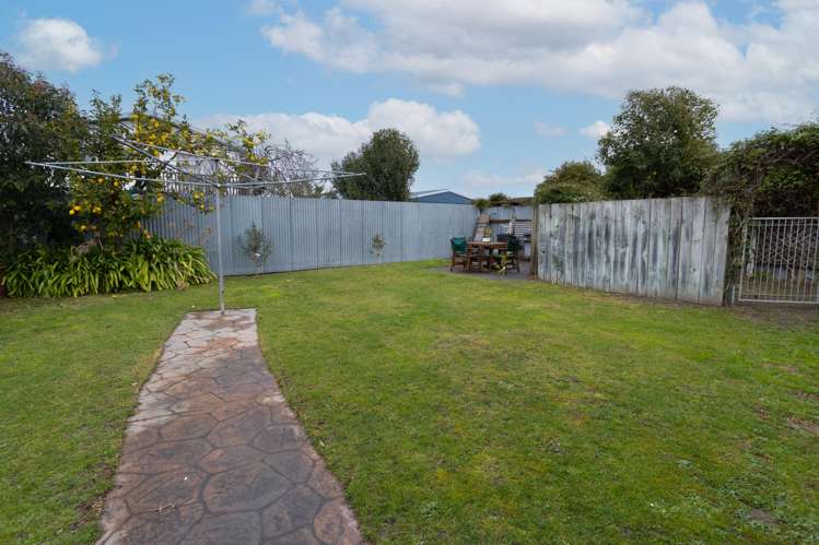 27 Lancaster Street Tamatea_18