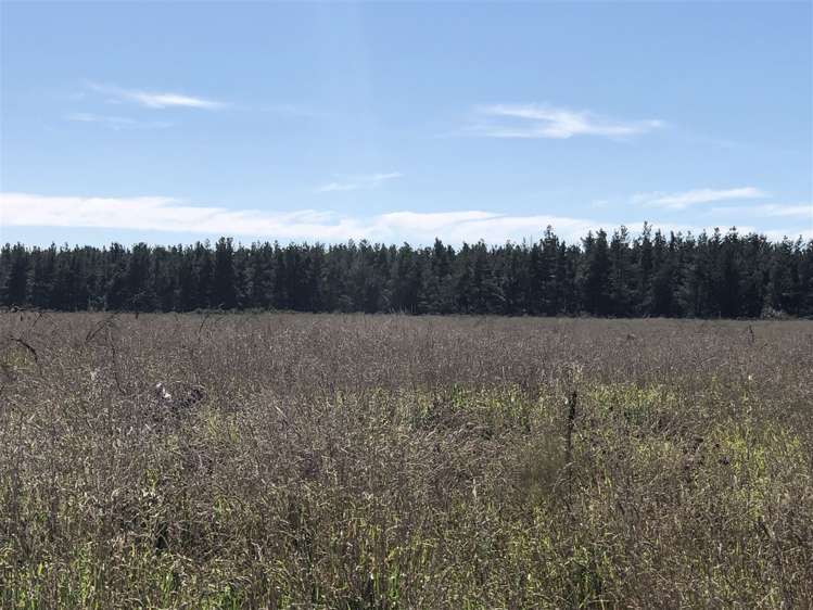 80 Struie Road Hororata_21