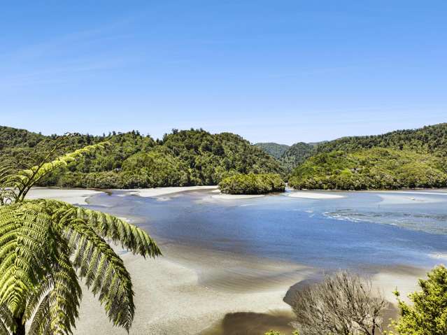 857 Dry Road Tasman_4