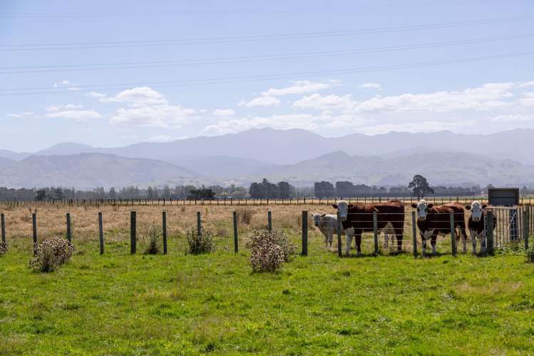 445 Perrys Road East Taratahi_7