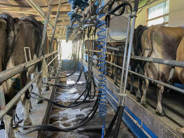 18 Hindle Road Wellsford_4