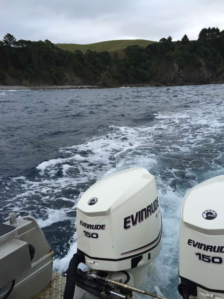 190 Pacific Ocean, Slipper Island (Whakahua) Thames_73