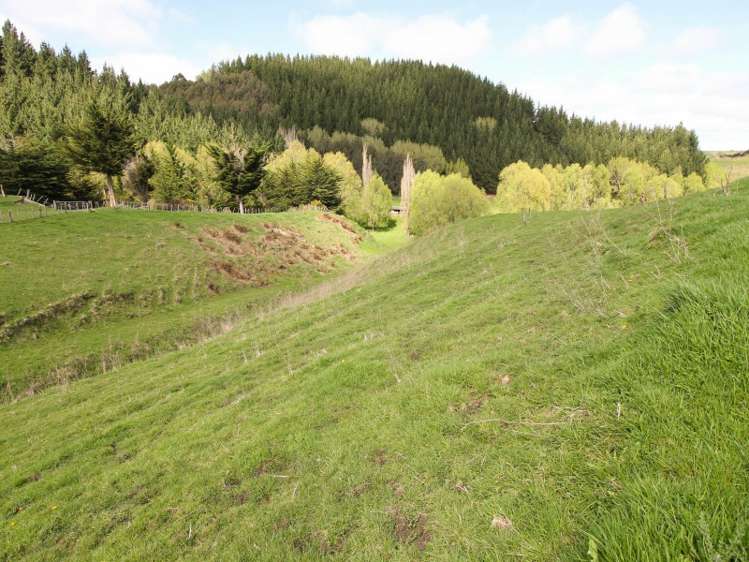 80 Kaukatea Valley Road Okoia_9