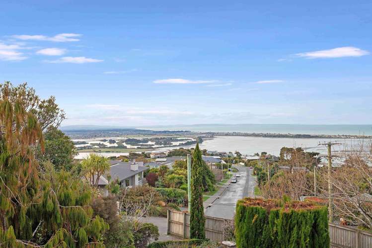 132 Major Hornbrook Road Mount Pleasant_19