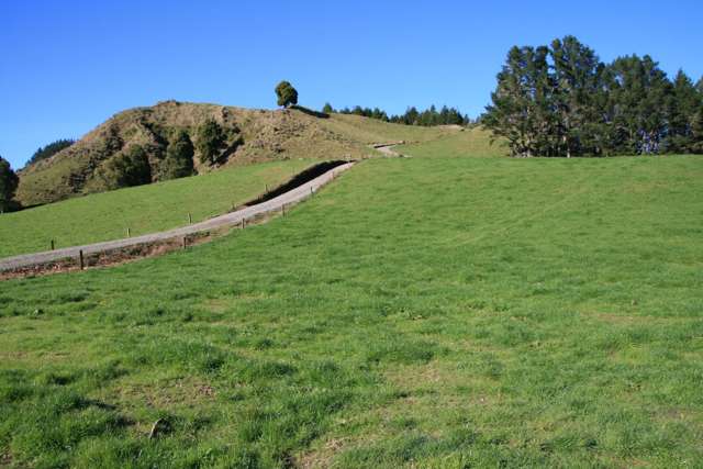 698 Mangaoapa Road Matau_4