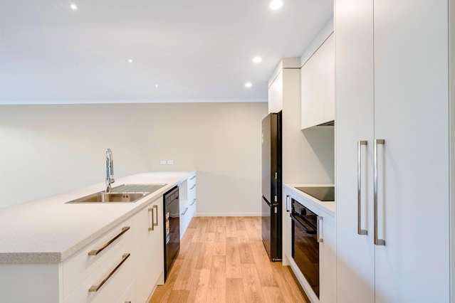 119B Williams Street 11373_1