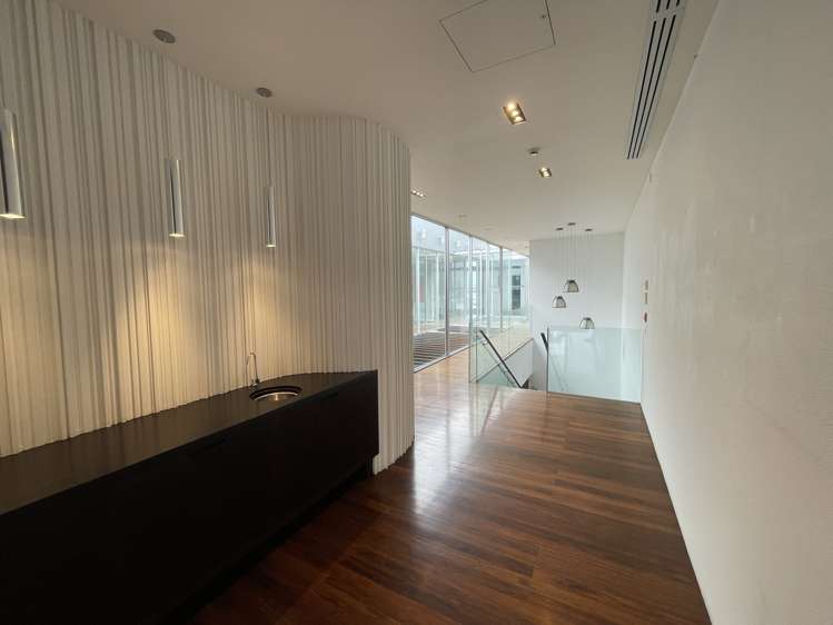 38 Ponsonby Road Grey Lynn_19