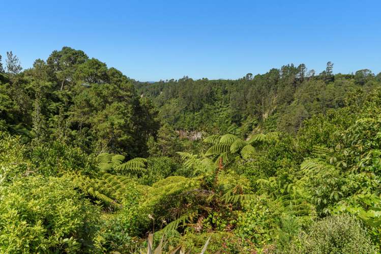 7 Bonnieglen Road Kaimai_28