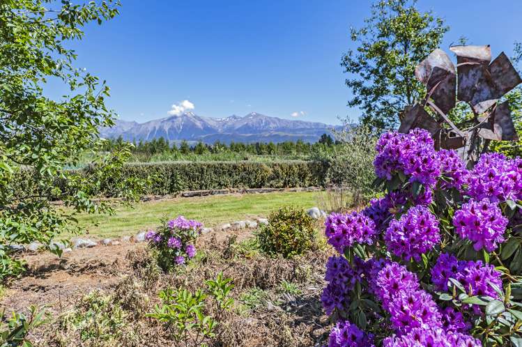 556 Frasers Road Springfield_23