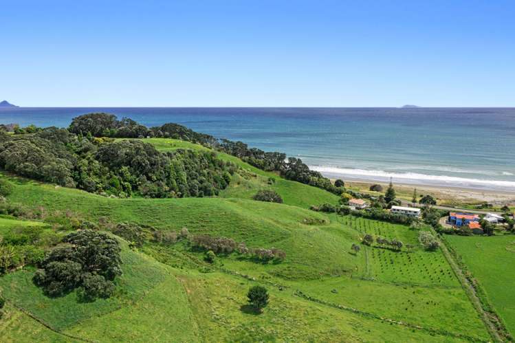 59 Pohutukawa Drive Opotiki and Surrounds_18