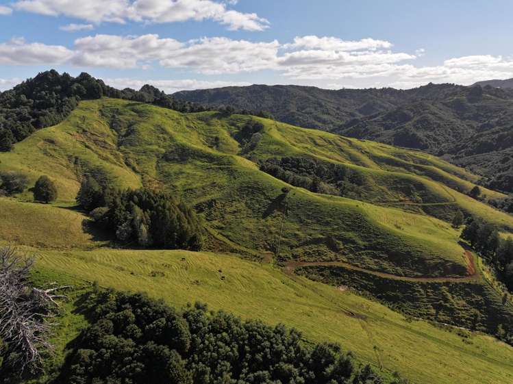 77 Remiger Road Puhoi_35