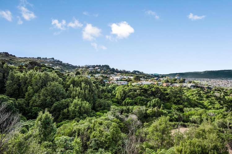 31 Pae Ariki Place Normandale_29