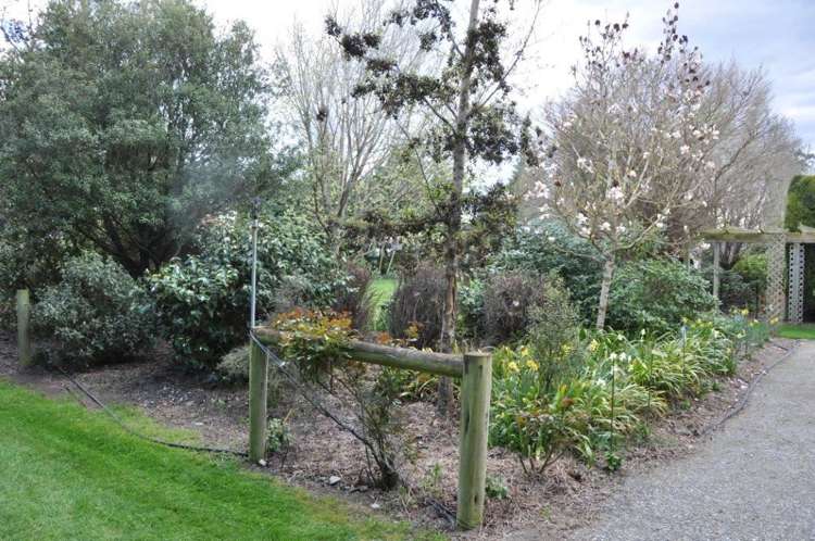 62 Rutland Street Riversdale_14