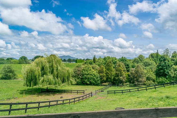 41 Sheehan Street Kihikihi_14