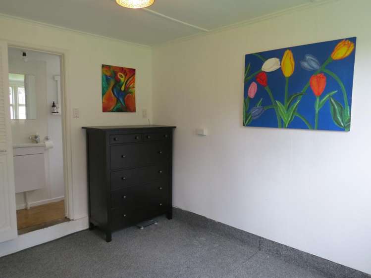 84 Carrington Street Vogeltown_10
