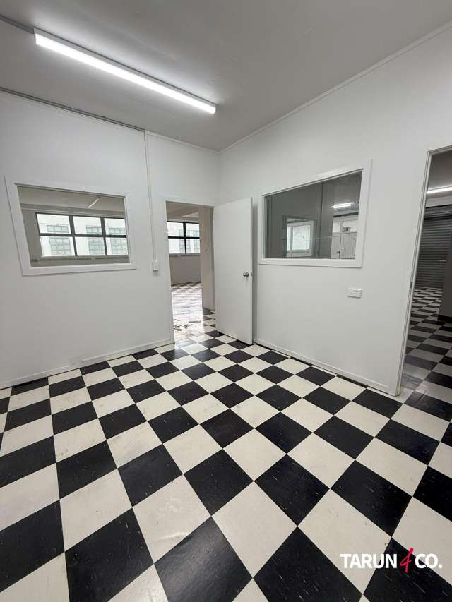 21 Karaka Street Eden Terrace_3