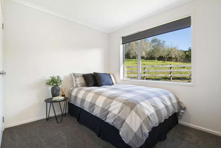 253 Horseshoe Bush Road Dairy Flat_28