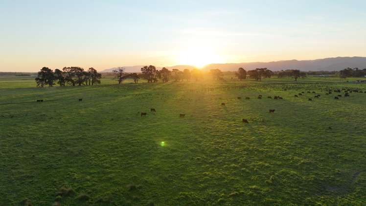Duddings Line Tauherenikau_13