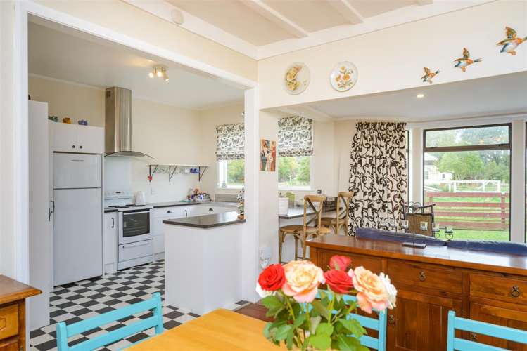 60 Johnson Street Bulls_29