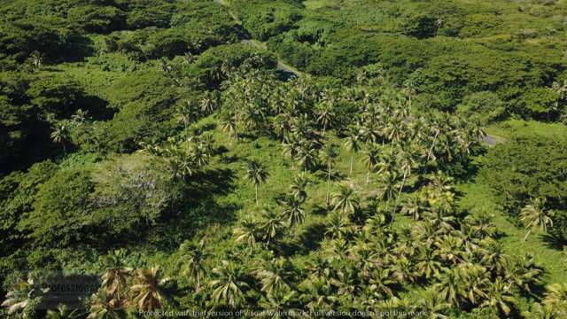 Address withheld Savusavu_2