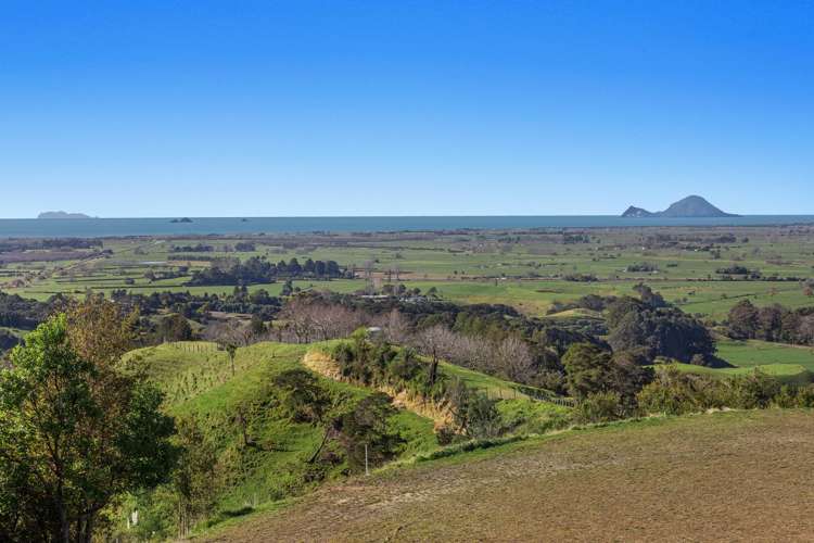 230 Withy Road Matata_14