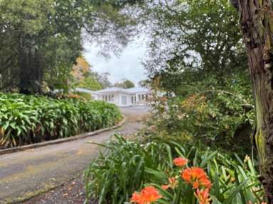 37 Harry Dreadon Road_1