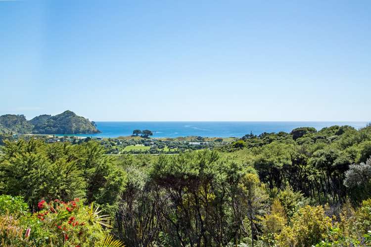 11 Mason Road Great Barrier Island (Aotea Island)_5