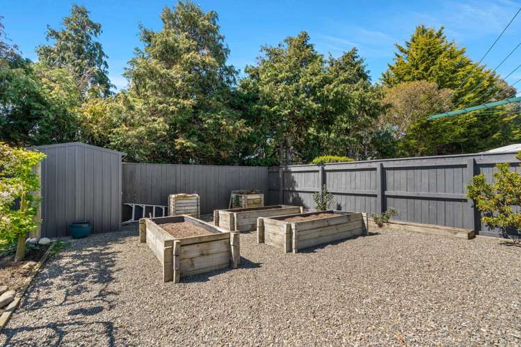 12 Maple Grove Masterton_13