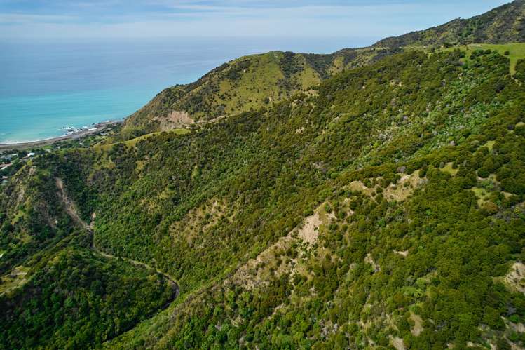 20 Moana Road Kaikoura_21