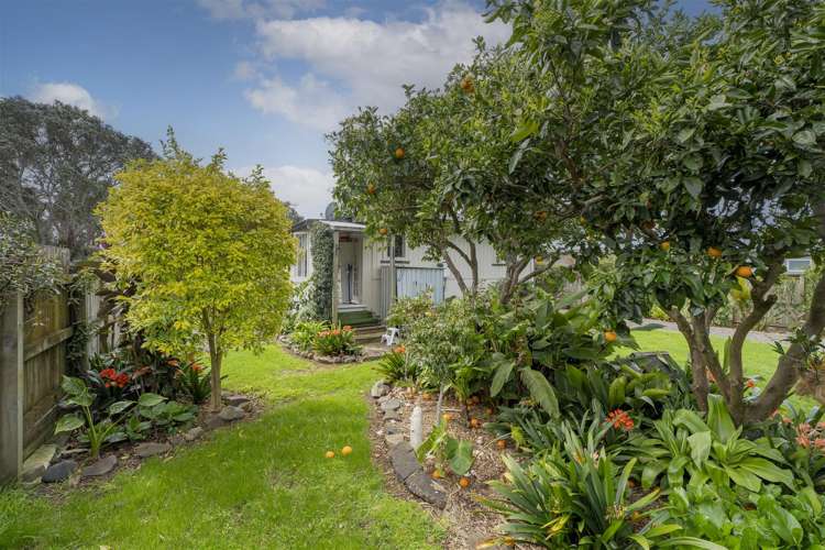 52 South Highway East Whitianga_28