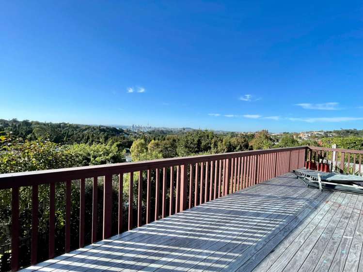 34 Balmain Road Chatswood_18