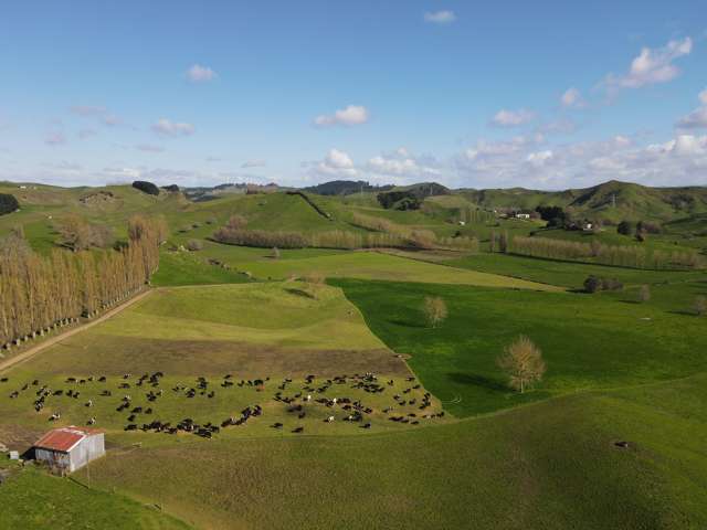 451 Tahaia Road Otorohanga_2