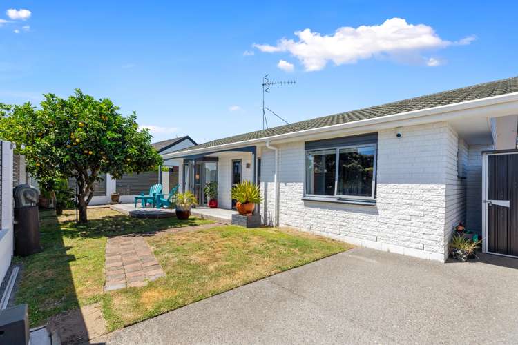 73a Ascot Road Mount Maunganui_5