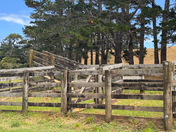 287 Taurangaruru Road Waiuku_34