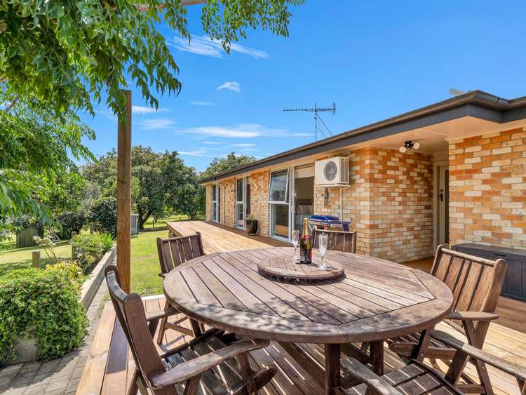 23 Collins Lane Te Puke_16