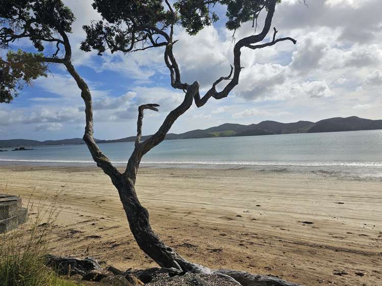 121 Ohawini Road Oakura_24